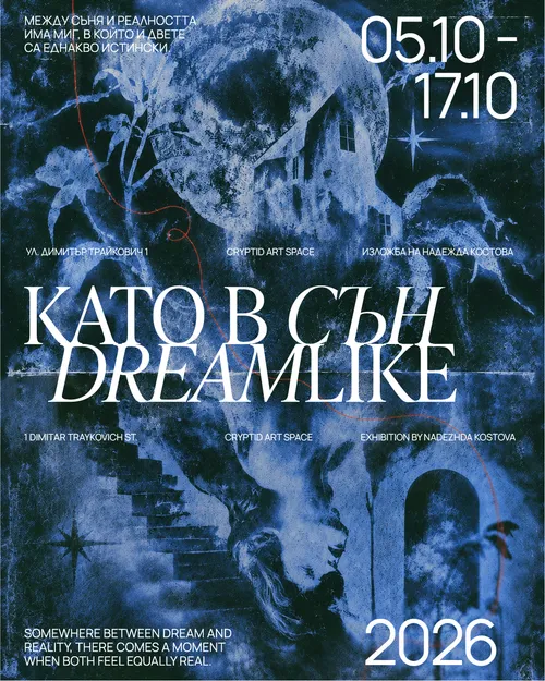 Плакат: Като в сън