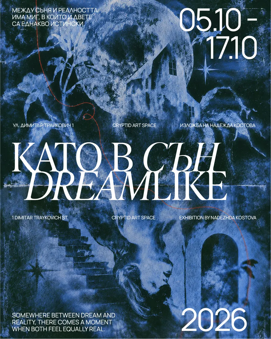Плакат: Като в сън